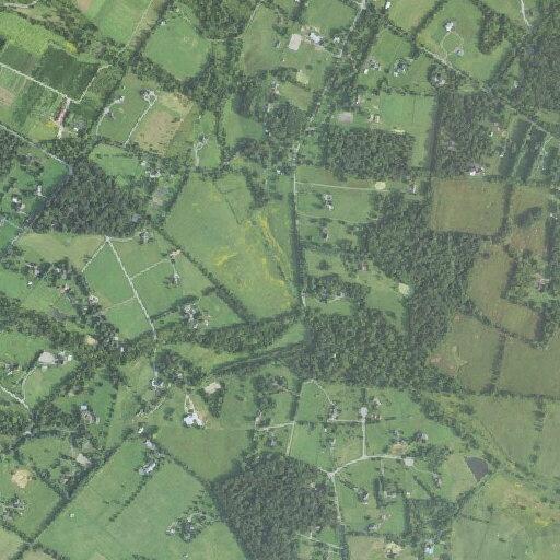 Person experiencing abdominal pain in Round Hill