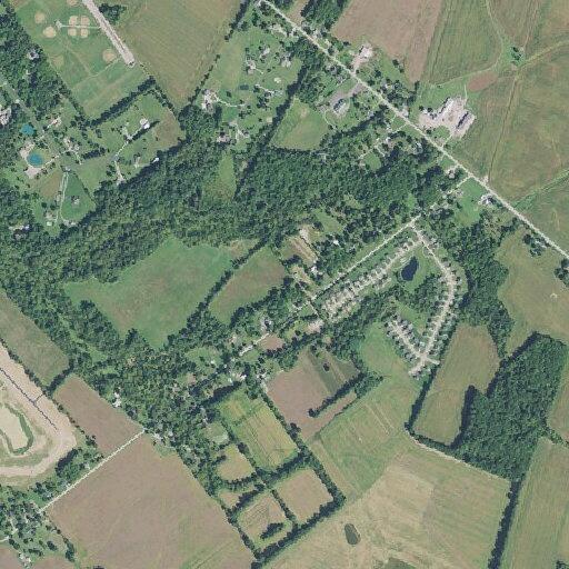 Reported domestic dispute on Harold Road