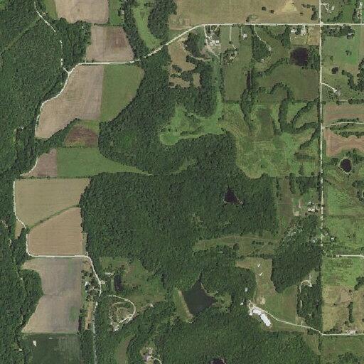 Person bitten by animal near Buck Creek Road in Perry
