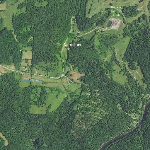 Tree down on Buckhannon River Road