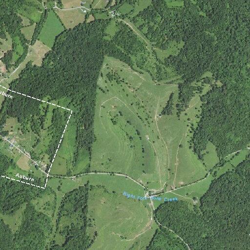 Person bleeding after scream for help in woods