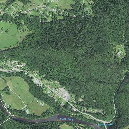 Child bitten by animal near Brits Back Road in Parsons