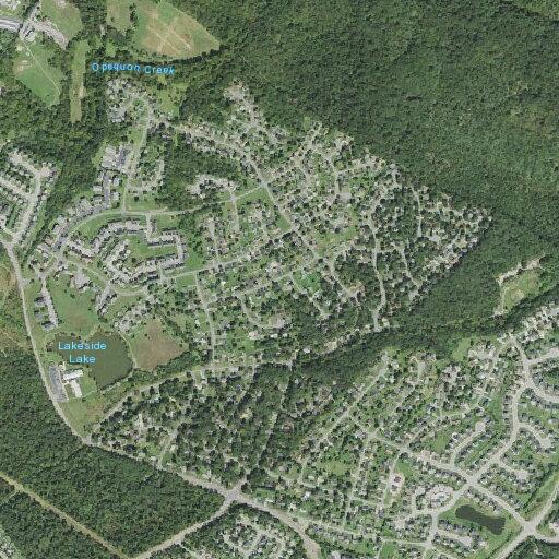 Unresponsive diabetic patient near Black Walnut Court