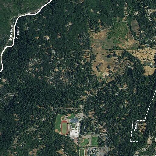 Tree fire reported on Hillcrest Boulevard
