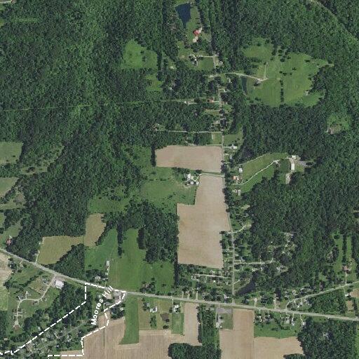 Runaway juvenile reported on Dogwood Lane