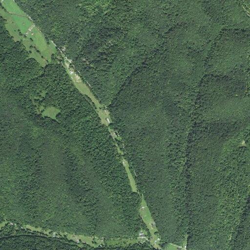 Tree on power lines on fire at Brushy Fork Road