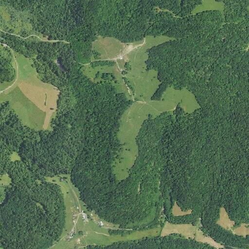 Domestic dispute involving (name withheld) and adult daughter reported near South Indian Fork Road