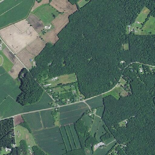 Person reports chest pains near Pine Tree street
