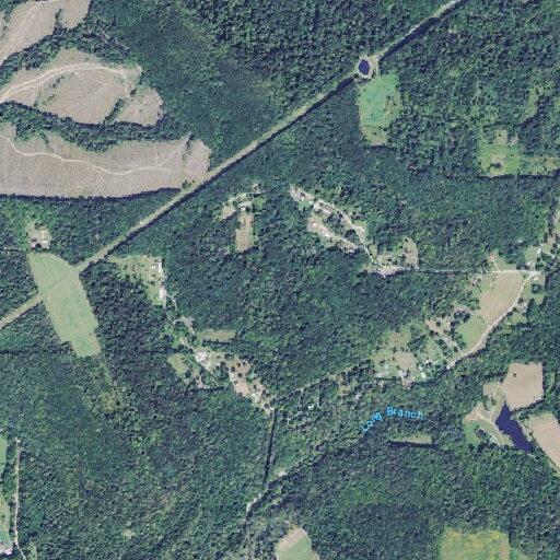Elderly man falls near Pleasant Hill Road in Waverly