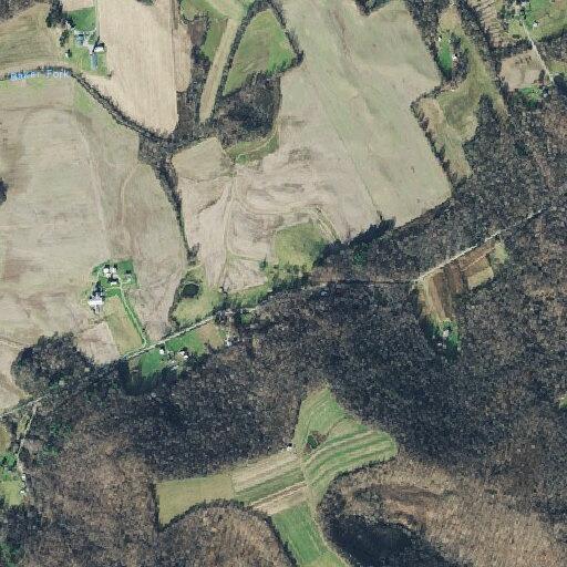 Welfare check with possible bear sighting reported