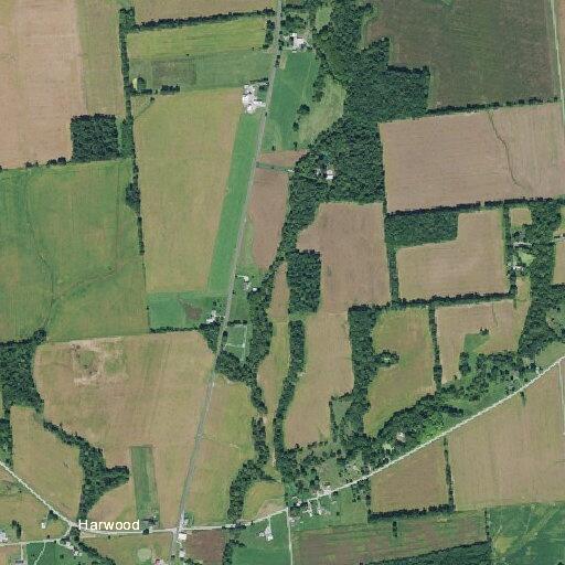 Female cancer patient passes out near State Route 134
