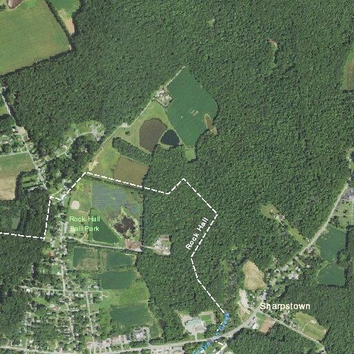 70-year-old woman with low blood pressure at Rock Hall Rd