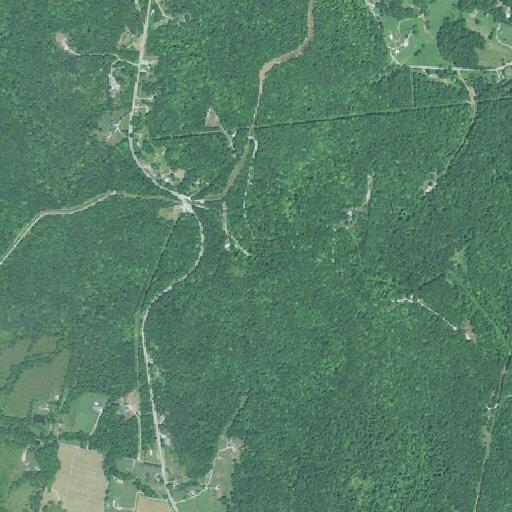 Tree debris cleanup after vehicle accident