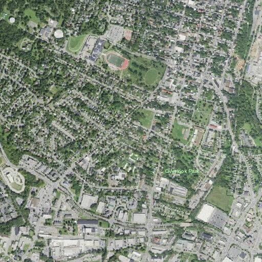 Woman bleeding from eye after fainting near Bellevue Avenue