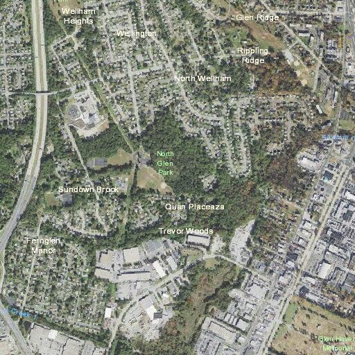 Person bitten by animal near Pickering Court