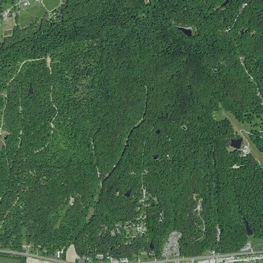 Medical check requested for elderly female near Lynn Road