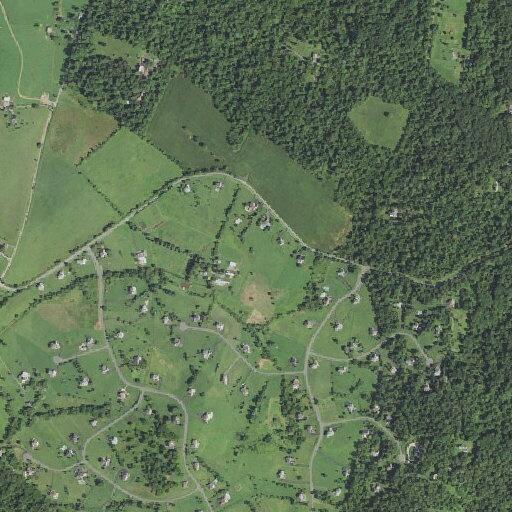 Elderly male falls and injures head in Waterford