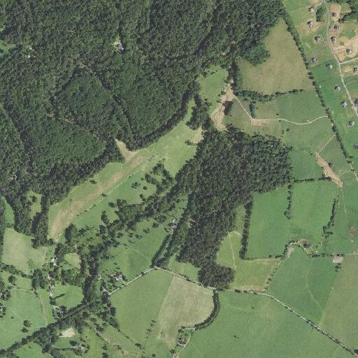 Person having a seizure near Clover Hill Road