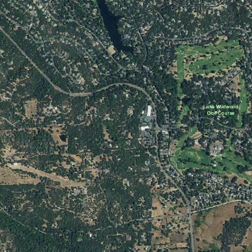 25-year-old woman with head injury at Los Robles Lane