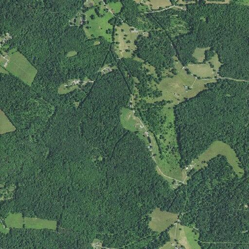 Tree fire from lightning on Poe Ridge Road