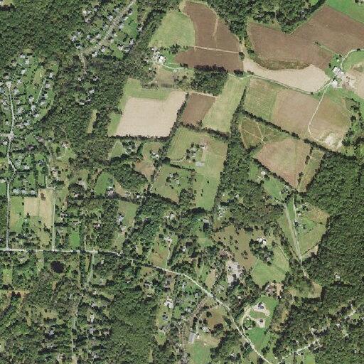 Child having possible seizure near Triadelphia Mill Road