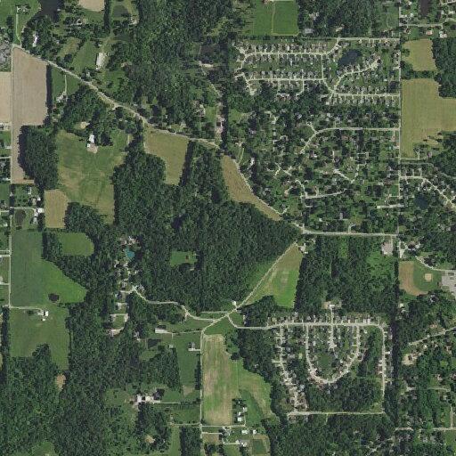 Verbal dispute between siblings at Henderson Road home