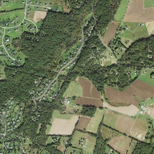Person unconscious after injury at Big Branch Drive