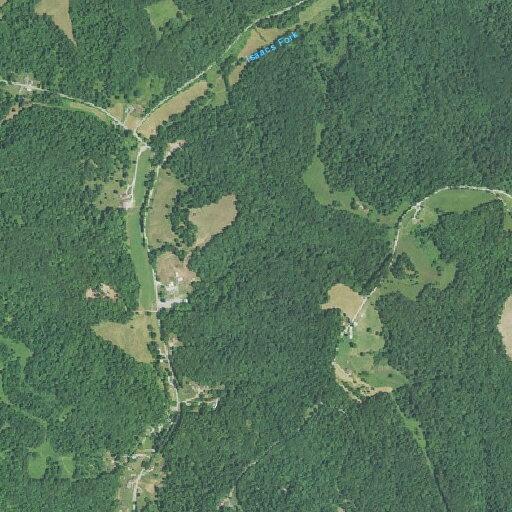 Tree blocking roadway on Ewing Ridge Road