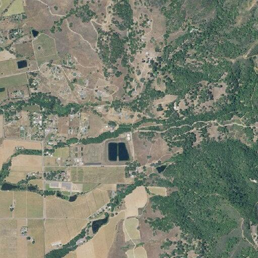 Woman in childbirth near Redwood Valley