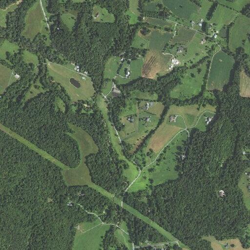 Power lines reported down on Dr Perry Road