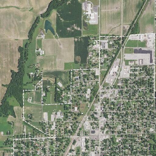 90-year-old man critical with hemoglobin issue in Carlinville