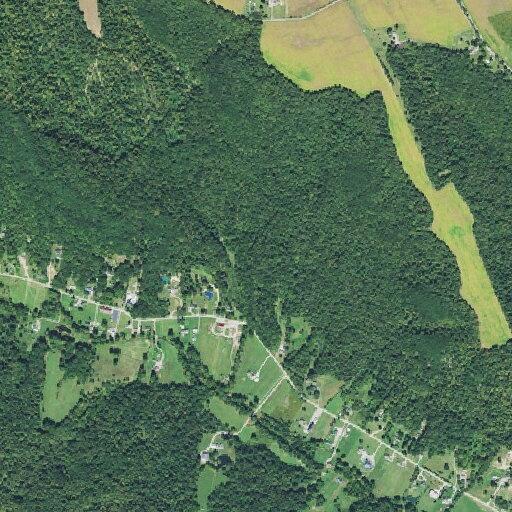 Unresponsive 86-year-old female reported near Mingo Rd
