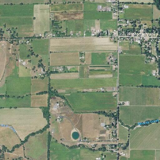 Female patient reported dizzy near Potter Valley