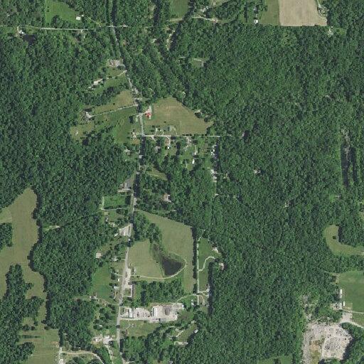Deer strike causes vehicle damage near Pay Lake