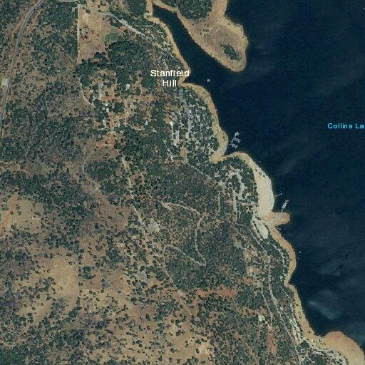 Person with dislocated shoulder at campground site