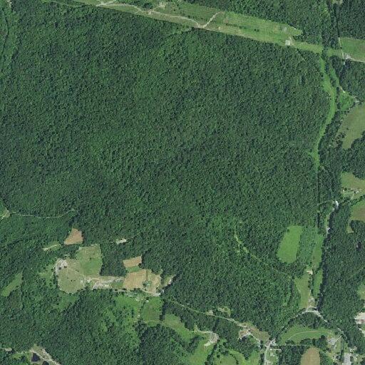 50-year-old man reported with psychological issues