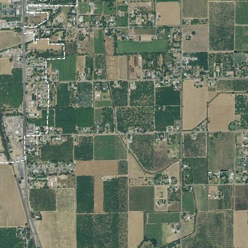Ill female patient reported near Sheldon Avenue