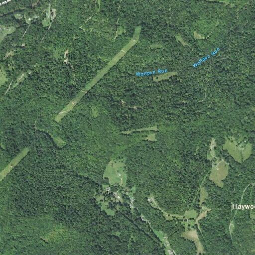 67-year-old woman with cardiac symptoms at Rose Run Rd