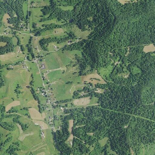85-year-old woman with shortness of breath at Adamsville