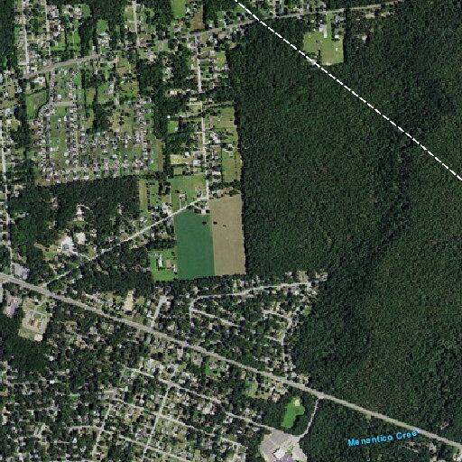 Person experiencing abdominal pain at Forest Glen Drive