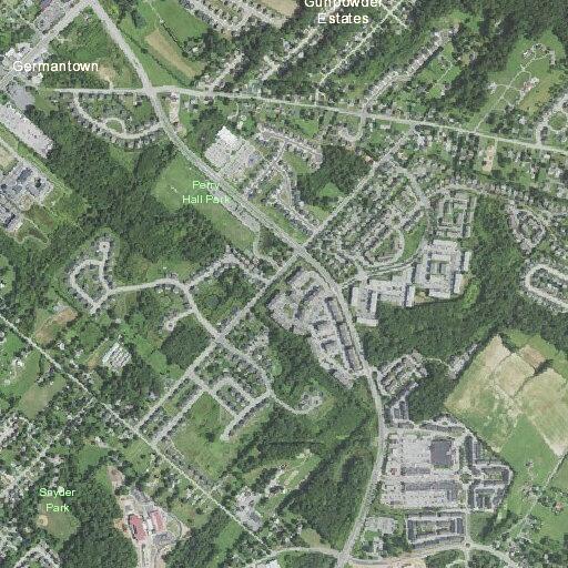 Bat reported inside home on Chapel Road