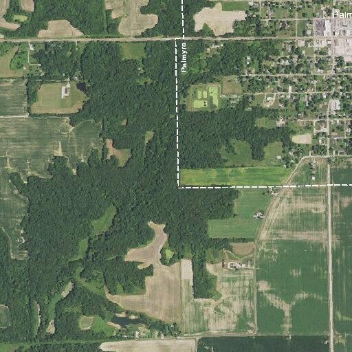 85-year-old male dizzy and pale in Palmyra