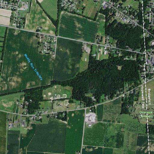 79-year-old woman with critical lab results in Hopewell Township