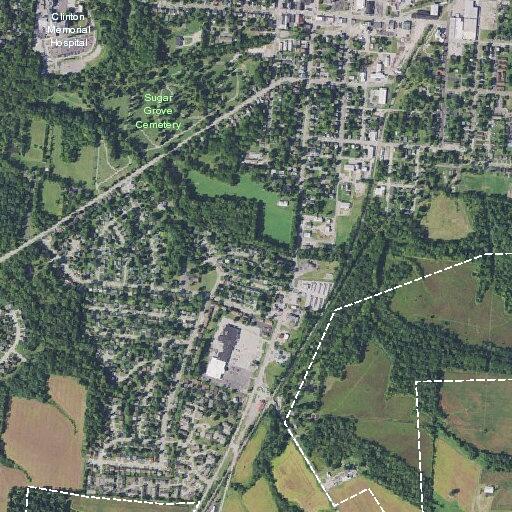 Woman feeling faint at Woodview Drive residence