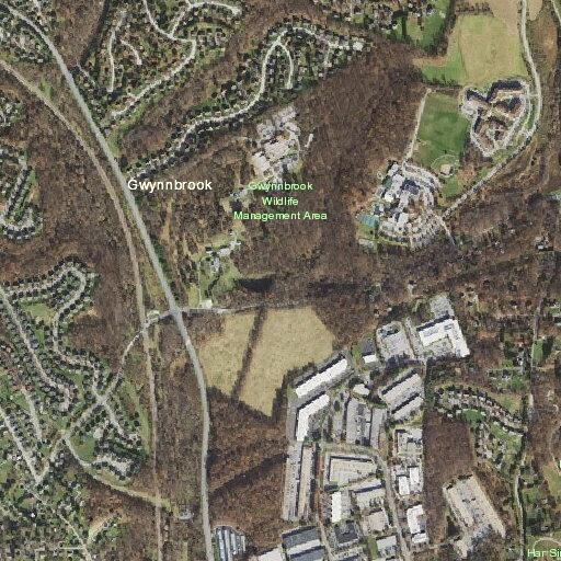 Male patient conscious after fall at Cronhill Drive location