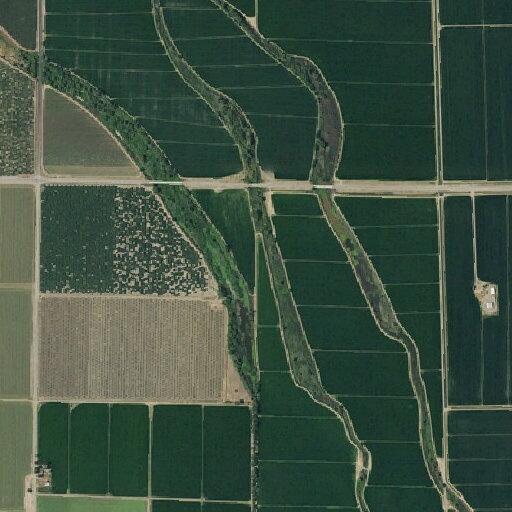 Complaint over loose dogs on neighbor’s farmland