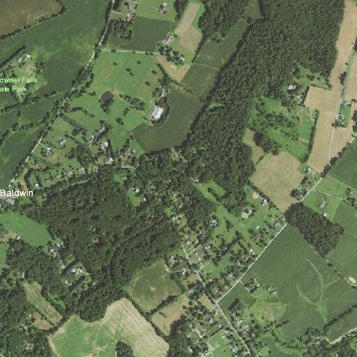 Person having a stroke near Fork Road