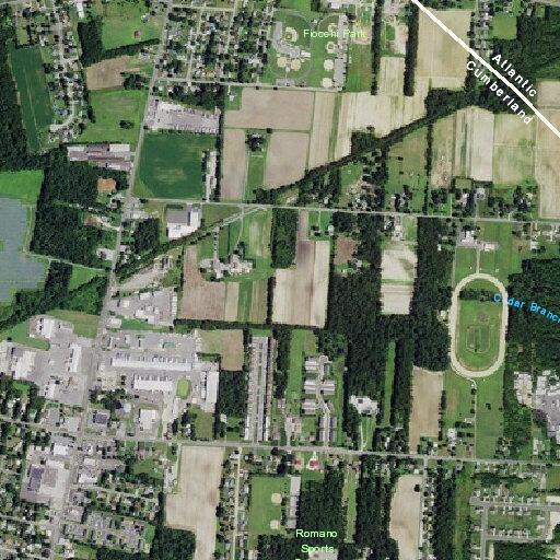 Assault victim reported on Becker Drive