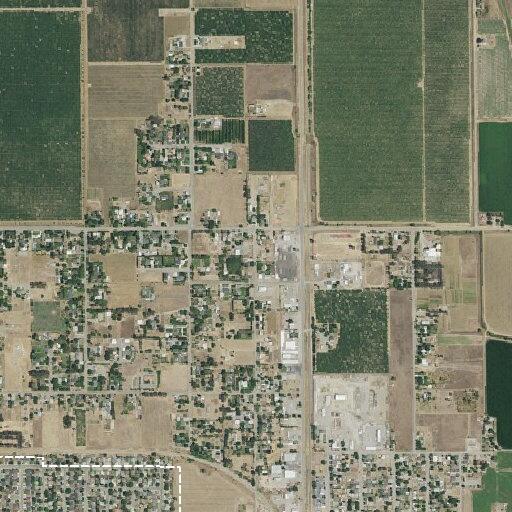 60-year-old female fall victim with ankle injury
