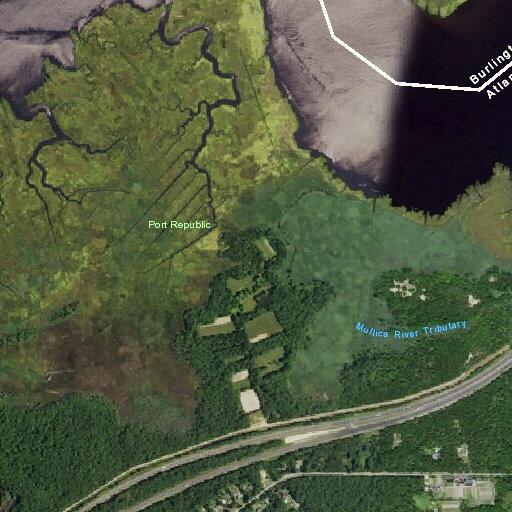 Person experiencing seizures at Chestnut Neck Road